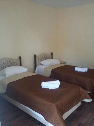 Мини-отель Гостевой дом на Адлейба 146 Сухум Просторный двухместный номер с 2 отдельными кроватями-8